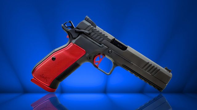 Dan Wesson DWX