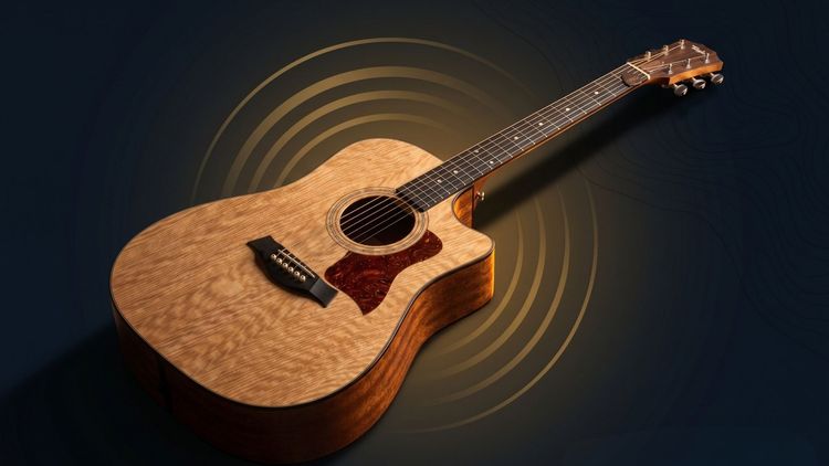 Taylor 310CE